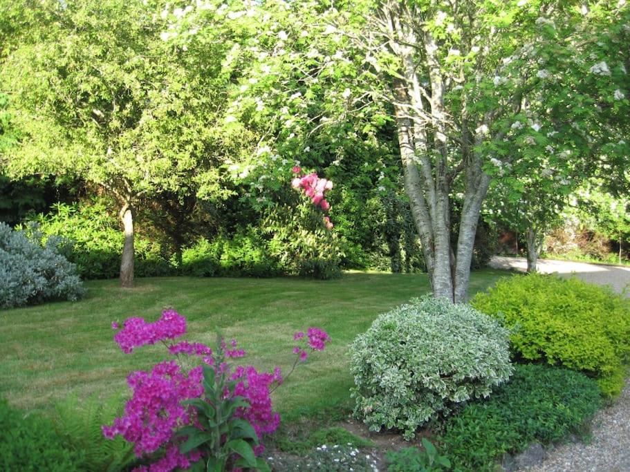 Self Catering Apartment At Beechwalk House. Enniskerry Esterno foto