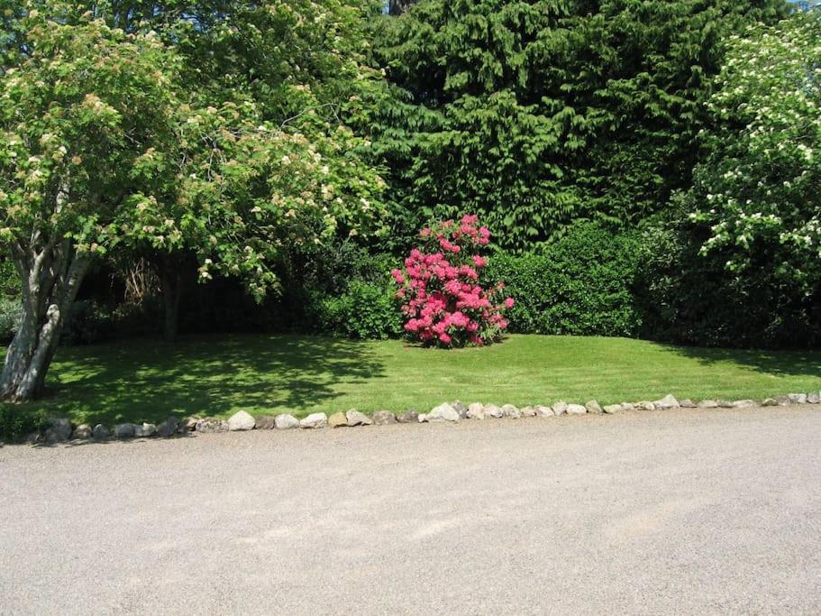 Self Catering Apartment At Beechwalk House. Enniskerry Esterno foto